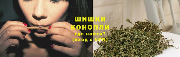 экстази Бородино