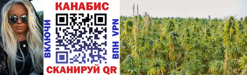 Канабис OG Kush  Берёзовка 